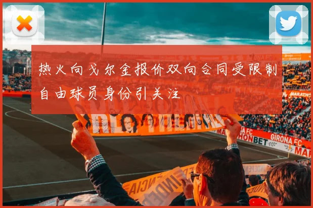 热火向戈尔金报价双向合同受限制自由球员身份引关注